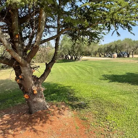 Séjour à la ferme Agriturismo Casapanetta