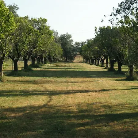 Séjour à la ferme Agriturismo Casapanetta
