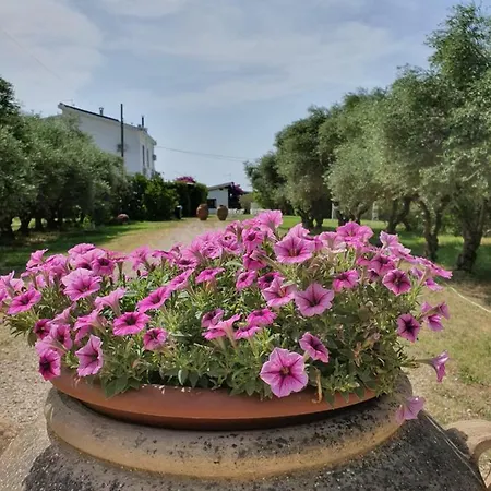 Séjour à la ferme Agriturismo Casapanetta Pisticci